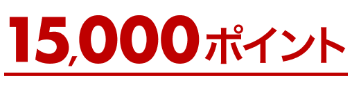 15,000ポイント