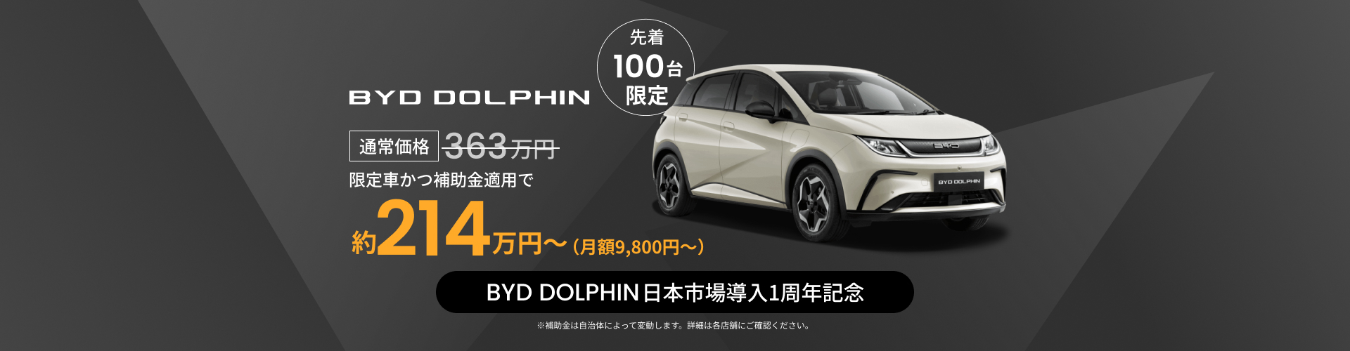 BYD DOLPHIN 限定車かつ補助金運用で約214万円～